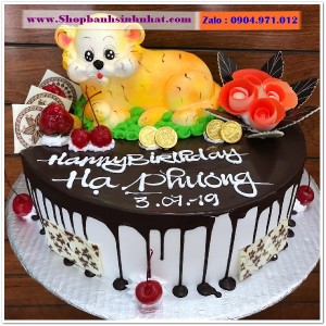 Bánh Sinh Nhật Socola - S222